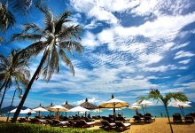 vacances soleil plage palmier parasol